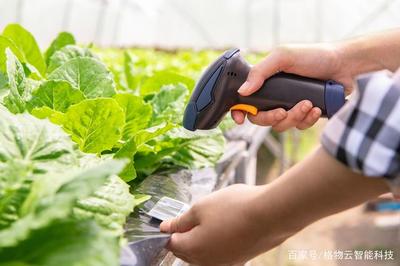 农产品溯源解决方案
