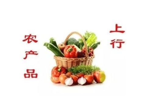 农产品上行的要素