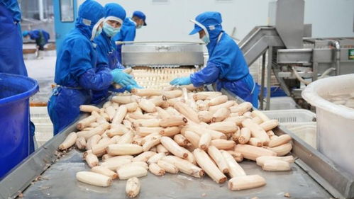 农村的 人与收入 ,拼多多的 牵肠挂肚