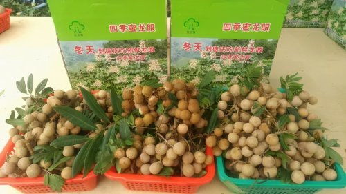 全省第3个 肇庆被确定为国家农产品质量安全市创建单位