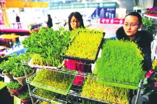 兰州市首家农药监管平台建立 保障农产品生产安全和质量安全