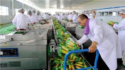 大农推介:只靠卖农产品是很难发财的,深加工才是致富新路!