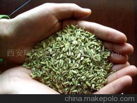 【有机小茴香(图)-有机小茴香】价格,厂家,图片,农产品代理加盟,西安瑞彼蕾伸科技有限责任公司 外贸部 -