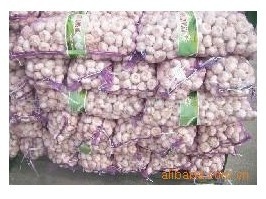 【【顺旺农产品】供应多种大蒜(来电订购)(图)】价格,厂家,图片,葱姜蒜类,青岛顺旺农产品-
