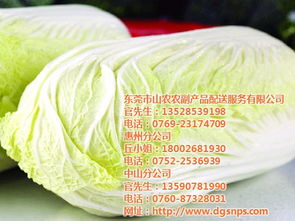 山农农副产品配送 图 ,粮油蔬菜配送公司,蔬菜配送