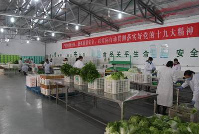 市委书记高宏志莅临雨垌农产品配送中心参观指导_美食_网
