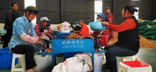 车间建到家门口 灵活就业解民忧