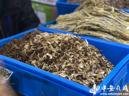 安徽农产品 圈粉无数 今年上海农交会又爆了