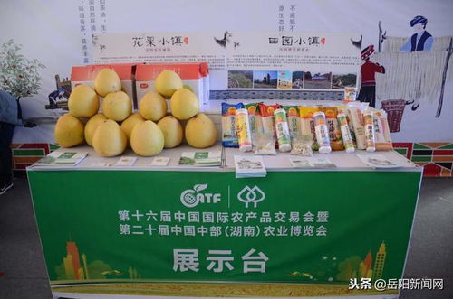 岳阳市特色小镇农产品 惊艳 农博会