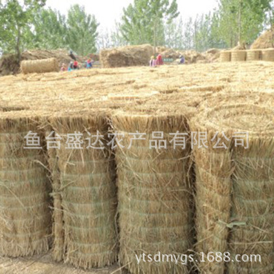 【专业供应 防护草垫 保温保暖遮阴草帘 【图】】价格,厂家,图片-中国网库
