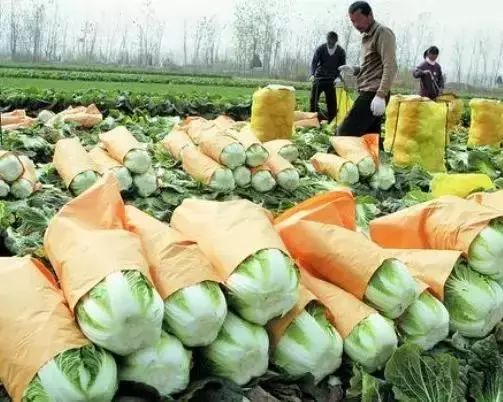 六大让自己农产品火起来的思维,你都具备吗