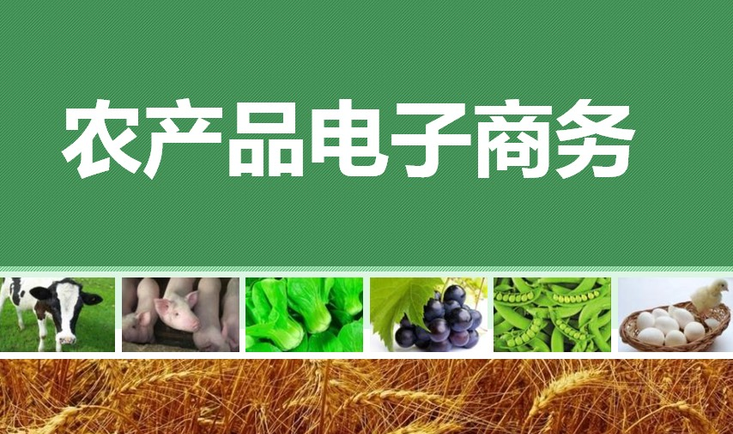 《农产品电子商务》
