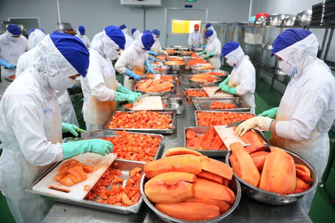 越南水果过剩悖论,加工工厂居然还"缺"原材料|农产品|蔬菜_网易订阅