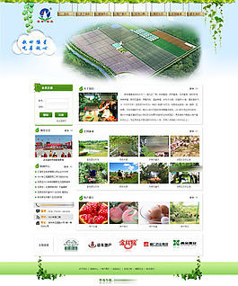 农产品展板图片