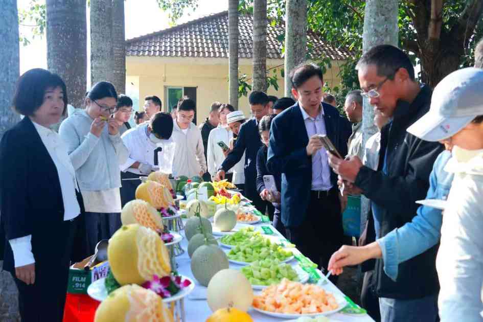 上海南繁种业创新成果（西甜瓜）推介会在海南陵水举行(图3)