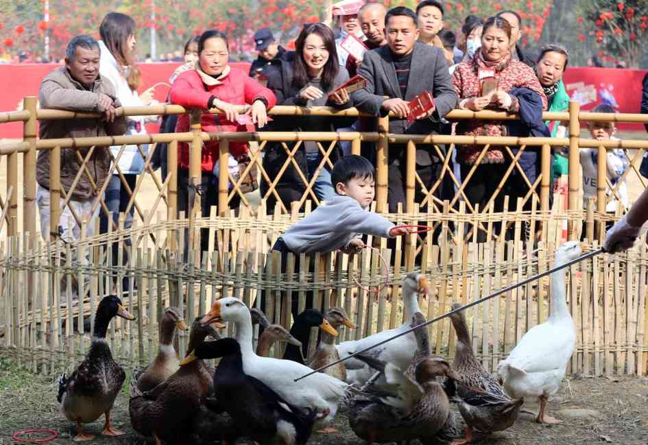 四川乐山市中区：年猪祈福迎新春 千人共享刨汤宴(图4)