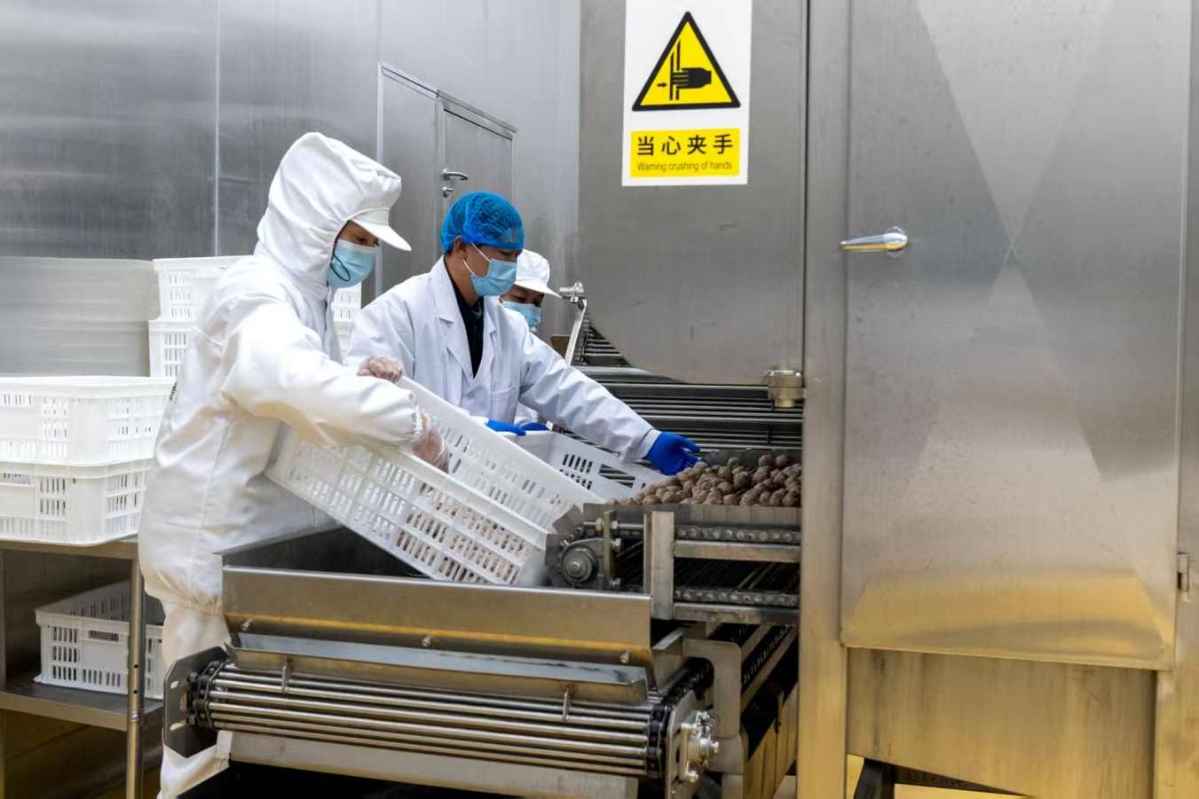 一粒牦牛肉丸的产业振兴梦——青海省内规模最大的牦牛肉丸生产基地正式投产(图1)