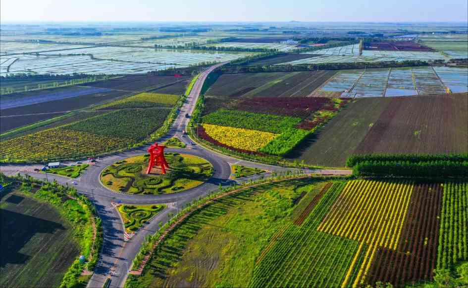 黑龙江富锦：从“产粮大县”到“绿色粮都”(图1)