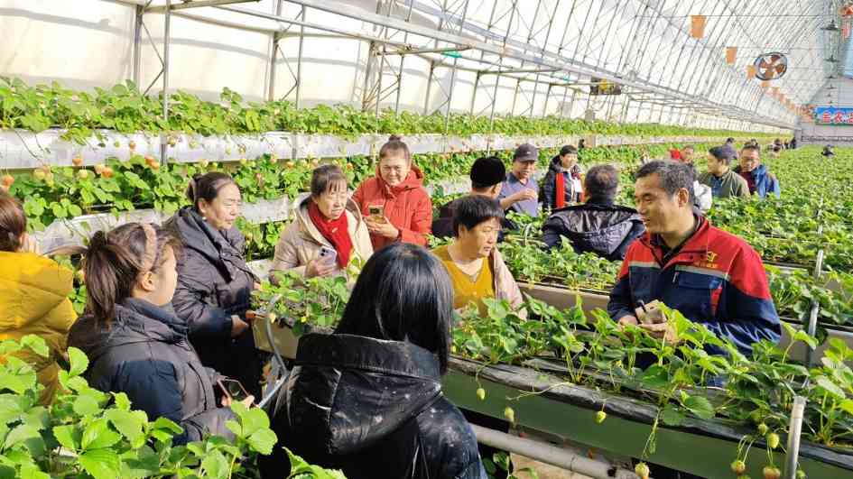 辽宁丹东培育高素质“数字新农人”(图4)