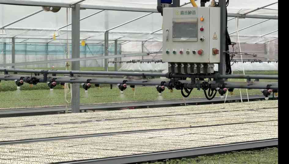 重庆146名农技专家北碚论道，求解丘陵农业增效新方程(图1)