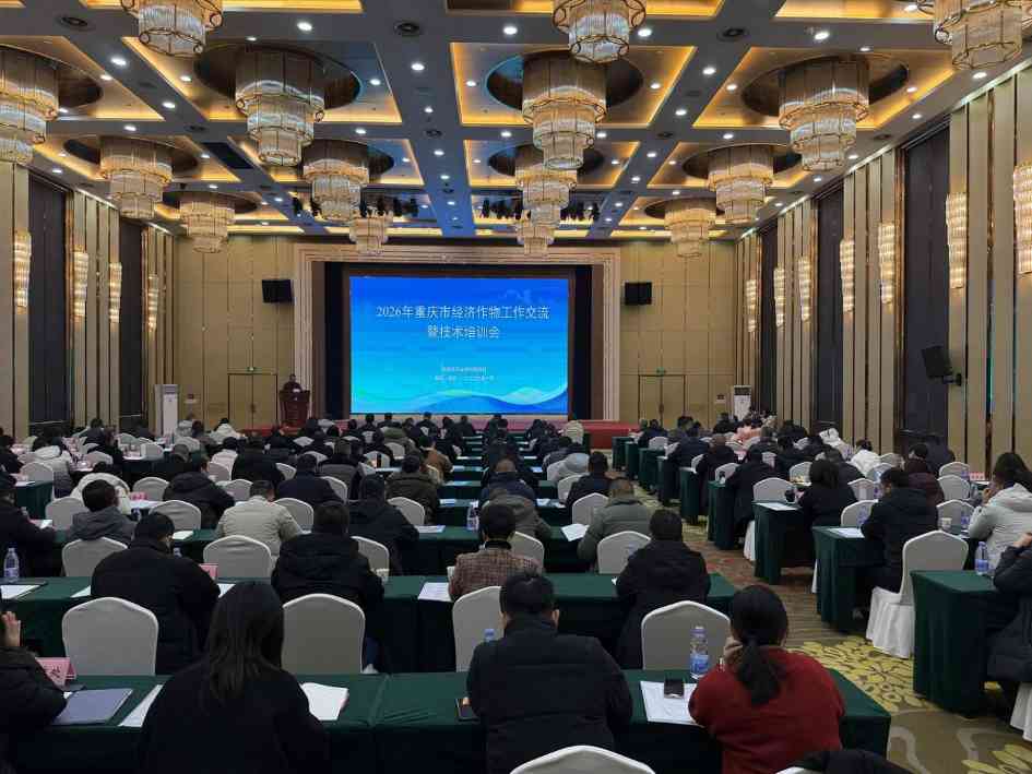 重庆146名农技专家北碚论道，求解丘陵农业增效新方程(图3)