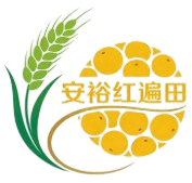 网站logo