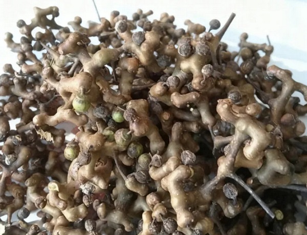 创收4.9万，亩入2.8万，这两种深山野果竟藏着这么大价值！