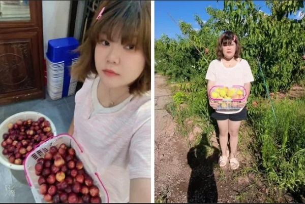 从钢琴教师到桃林主播，她靠视频月销2万，还带50位乡亲家门口赚钱