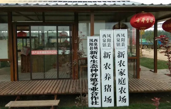 凤阳80后新农人郑前亮：返乡照顾父母，顺便把桃子卖成“网红货”(图2)