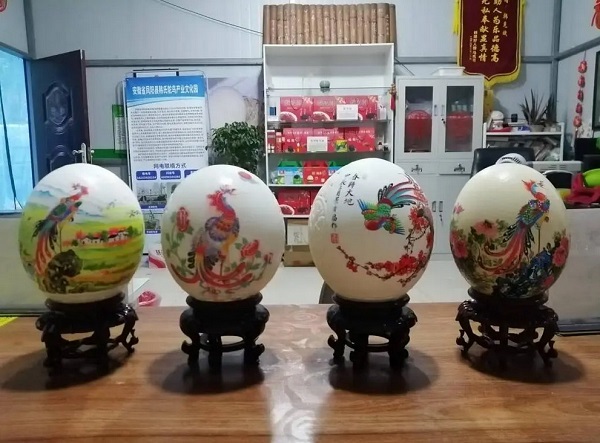 放弃高薪回乡养鸵鸟？70后韩见斌年赚180余万，还带富一群人(图3)