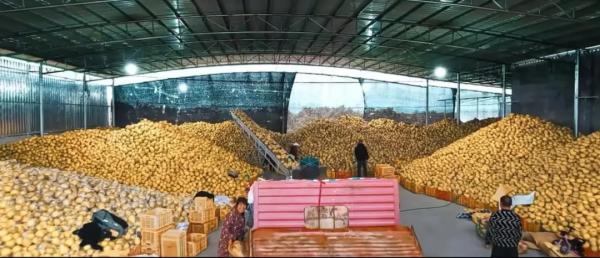 新农人宋春姣：跨界做农业，年销家乡农产品超900万斤(图3)