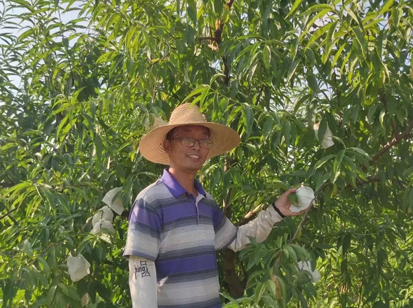 惠农网助力五旬果农闯荡电商，看他如何披荆斩棘！