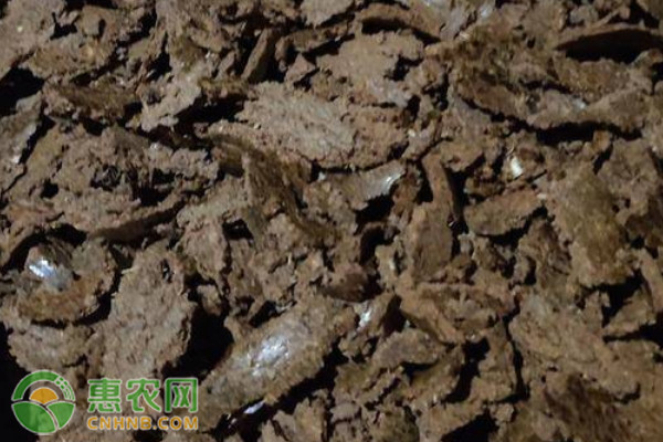 2026年饼粕饲料价格多少钱一吨？(图2)