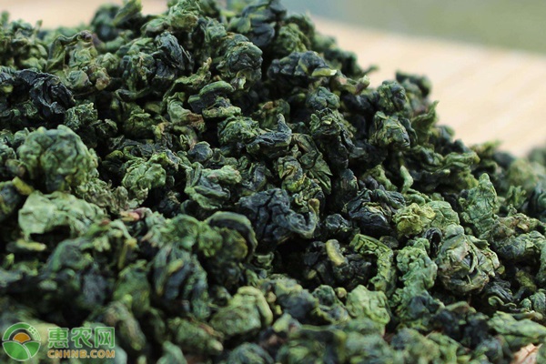 2026年乌龙茶价格多少钱一斤？(图2)